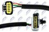 EGR-FR-005_9-WM.JPG
