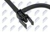 BPP-CT-024_4-WM.JPG