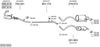 SYS11042.JPG