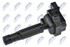 ECZ-ME-004_2-WM.JPG