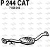 P244CAT.JPG