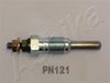 PN121_1.JPG