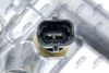 CTM-CH-020_6-WM.JPG