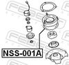 NSS-001A_1.JPG