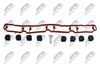 bks-vw-013b_1-wm.JPG