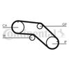 CT1005.BMP