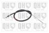 QH_BC3646.JPG