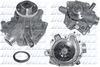 D250.BMP