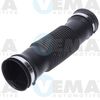 VE55907.JPG
