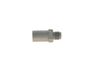 Bosch Pressure Relief Valve, common rail system 1 110 010 033