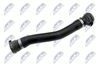 CPP-BM-020_2-WM.JPG