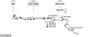 SYS18574.JPG