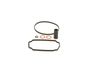 Bosch Fuel Pump Seal Kit 1 467 010 501