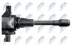 ECZ-NS-014_3-WM.JPG
