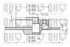 QH_BDC3566_1.JPG