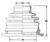 BCB6197_292349.JPG