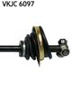 VKJC 6097_3.JPG