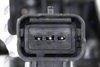 egr-ct-015_7-wm.JPG