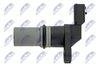 ECP-RE-009_3-WM.JPG