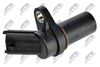 ECP-PL-005_2-WM.JPG