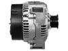AG0493RB.JPG