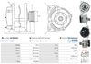 A01289(SEG)_256960.JPG