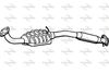 P633CAT.JPG