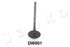 5DW001_1.JPG