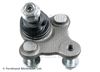 Blue Print Ball Joint ADBP860162