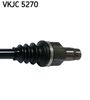 VKJC 5270_3.JPG