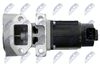 EGR-MS-005_5-WM.JPG