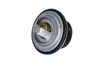 Termostat, chladivo 725100
