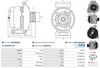 A01044(SEG)_256962.JPG