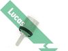 04_SNB5085_973580.JPG