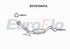 ecvo1044ta.JPG