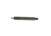 Bosch Nozzle and Holder Assembly F 002 C8Z 001