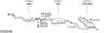 SYS20186.JPG