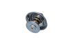 Termostat, chladivo 725117