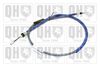 QH_BC3914.JPG