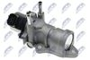 EGR-TY-001_2-WM.JPG
