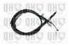 QH_BC4041.JPG