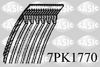 7PK1770.JPG
