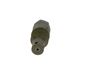 Bosch Pressure Relief Valve, common rail system F 00R 0P2 437