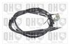 QH_BC3649.JPG