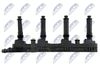 ECZ-PL-031_3-WM.JPG