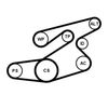 CONTINENTAL CTAM Water Pump + V-Ribbed Belt Kit 6PK1836WP1