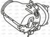 P8487CAT_1.PNG