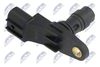 ECP-IS-000_2-WM.JPG