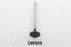15DW005_1.JPG