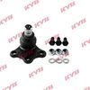 KYB-KBJ4216.JPG